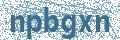 Código | Code