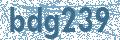 Código | Code