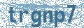 Código | Code