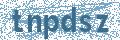 Código | Code