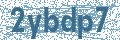 Código | Code