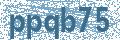 Código | Code