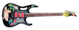  - STEVE VAI  JEM77FP "Flower Pattern" style.