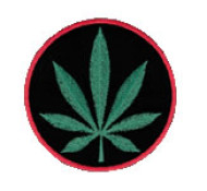 Marijuana Patche