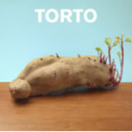 Torto