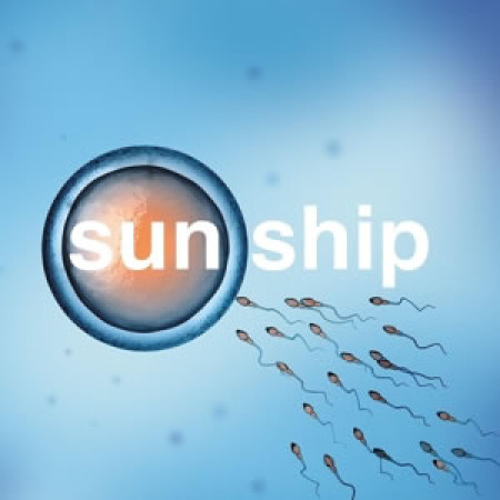 Sun ship