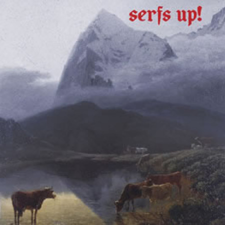 Serfs Up!