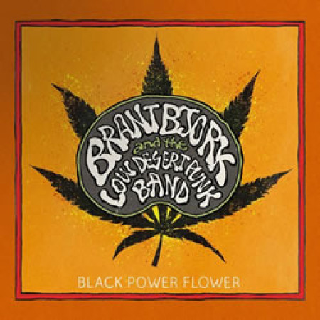 Black power flower