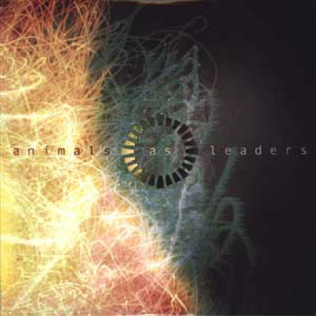 Animals as Leaders