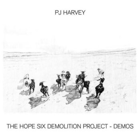 The Hope Six Demolition Project (Demos)