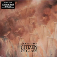 Citizen of Glass