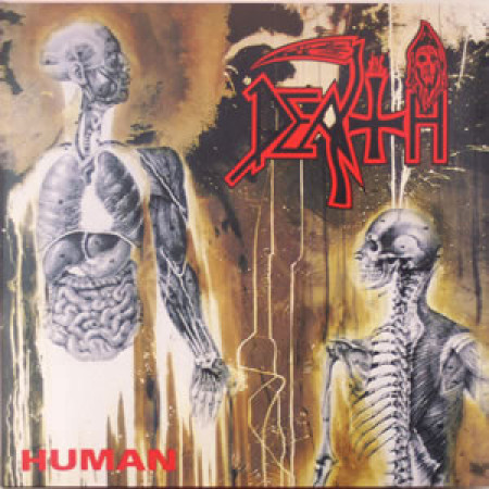 Human