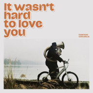 It Wasn't Hard To Love You