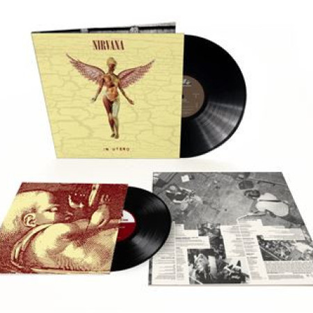 In Utero (30th Anniversary)